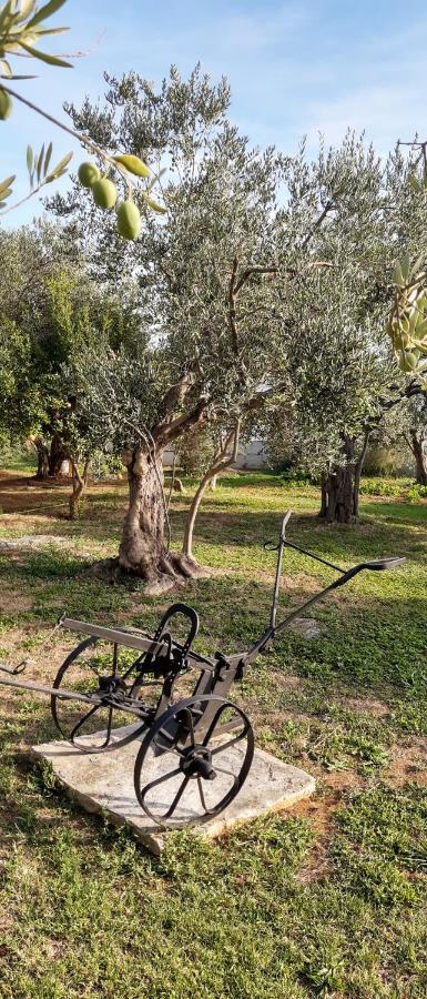 Villa Spanja Vodice Bagian luar foto