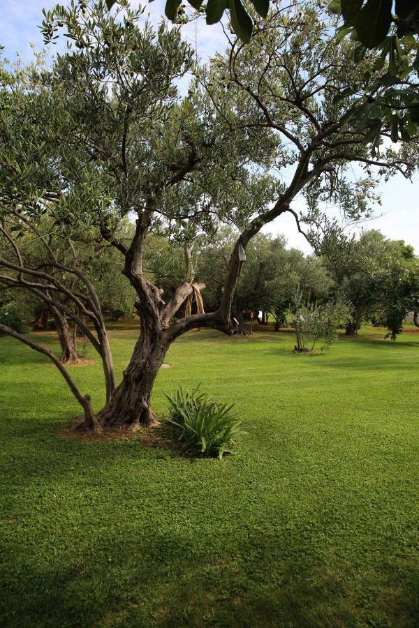 Villa Spanja Vodice Bagian luar foto