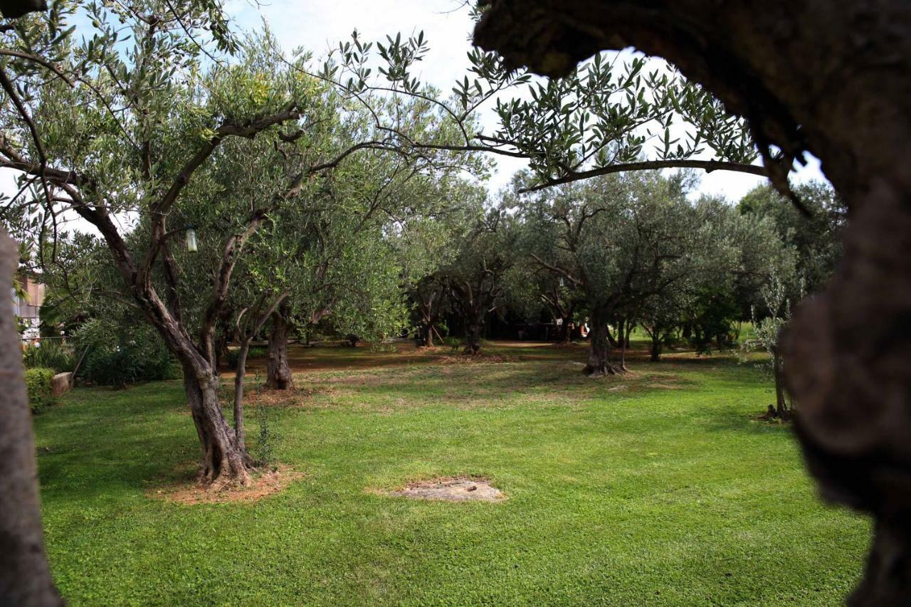 Villa Spanja Vodice Bagian luar foto
